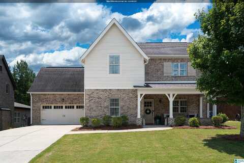 479 LAKE CHELSEA WAY, CHELSEA, AL 35043
