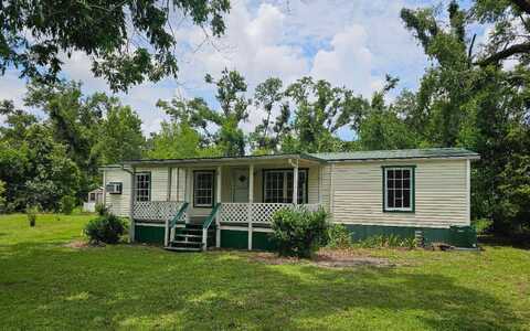 173 NW JIM WILLIS RD, Mayo, FL 32066
