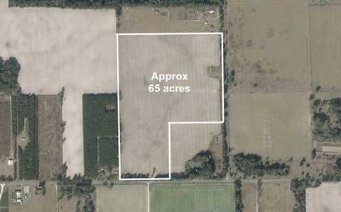 2340 SW COUNTY RD 351, Mayo, FL 32066