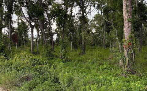 LOT13 DOWLING OAKS, Live Oak, FL 32060