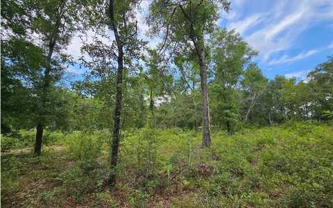 LOT13 119TH DR, OBrien, FL 32071