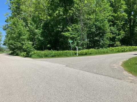 TBD Maple Isle Court, Alanson, MI 49706