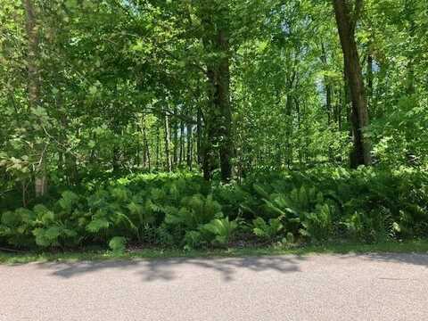 TBD Maple Isle Court, Alanson, MI 49706