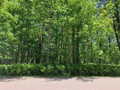 TBD Maple Isle Court, Alanson, MI 49706