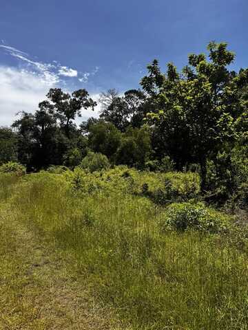 460 Cherry Creek Drive, Shepherd, TX 77371