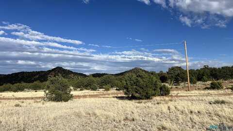 Pinon Ridge Rd Road, Pie Town, NM 87827