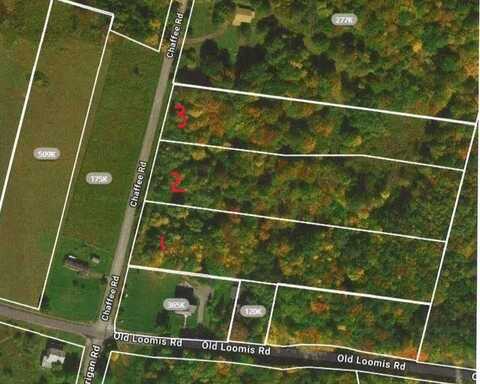 1 Chaffee Road, Sullivan County, NY 12754