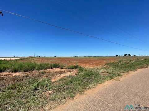320 S Roosevelt Rd T, Portales, NM 88130
