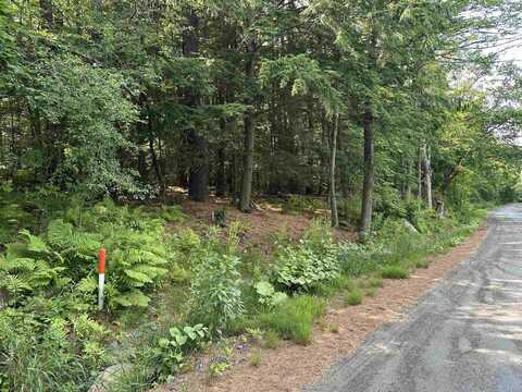 Goulden Ridge Road, Weathersfield Bow, VT 05151