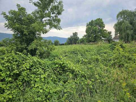 1726 Munger Street, Middlebury, VT 05753