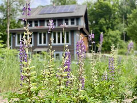 615 Forest Hills Road, Franconia, NH 03580