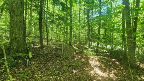 00 Hillcrest Road, Andover, VT 05143