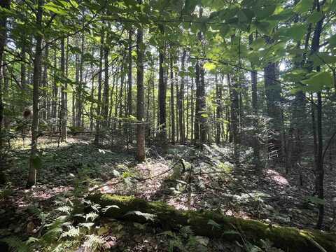 556 Diette Road, Lowell, VT 05847
