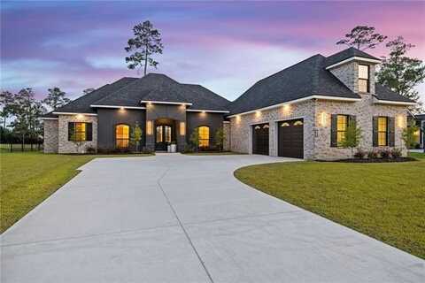 24135 SNOWY EGRET Cove, Springfield, LA 70462
