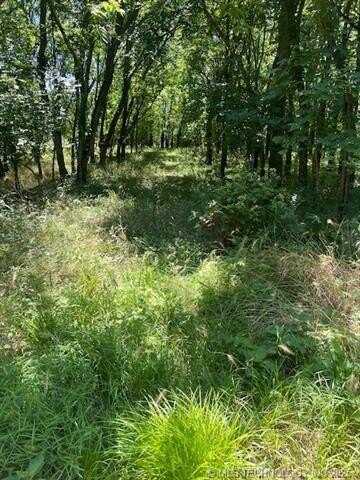 65 Lakeside Ridge N, Adair, OK 74330