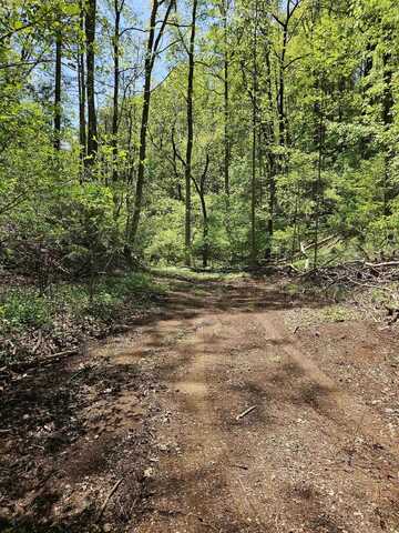 tbd Cabin Land Drive, Radford, VA 24141