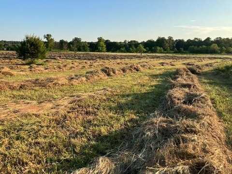 0 Fairview Road, Salem, AR 72576