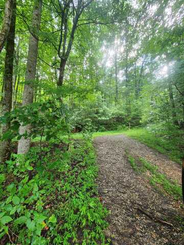 0 Highway 156, South Pittsburg, TN 37380