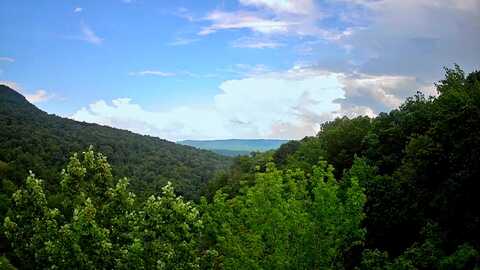 0 Highway 156, South Pittsburg, TN 37380