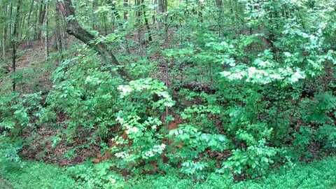 0 Tn-156, South Pittsburg, TN 37380