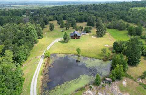 1142 Co Rd 146, Flat Rock, AL 35966