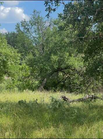 Lot 692 S Lakes Drive, May, TX 76857