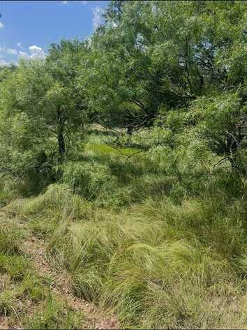 Lot 913 Oak Point Drive, May, TX 76857