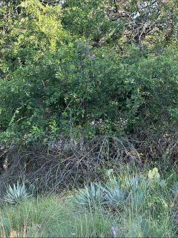 Lot 669 S Lakeside Drive, May, TX 76857