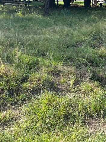 Lot 790 Oak Point Drive, May, TX 76857