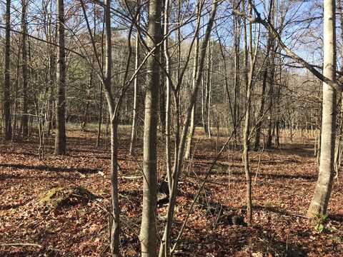 5 Hobbstown Road, Dunlap, TN 37327