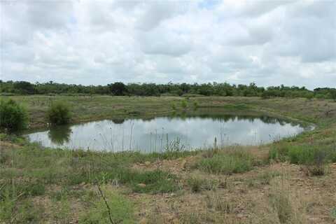 2010 County Road 132, Moran, TX 76464