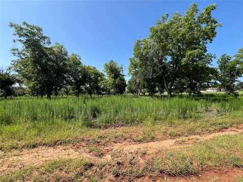 1301 Cirrus Loop, Granbury, TX 76049