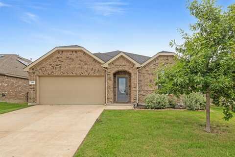 916 Evergreen Street, Princeton, TX 75407