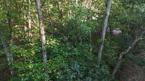 Lower River Road NW, Georgetown, TN 37336
