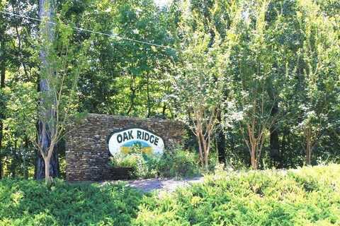 Lot 18 OAK RIDGE DRIVE, WAVERLY HALL, GA 31831
