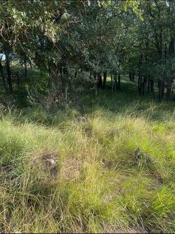 Lot 914 Oak Point Drive, May, TX 76857