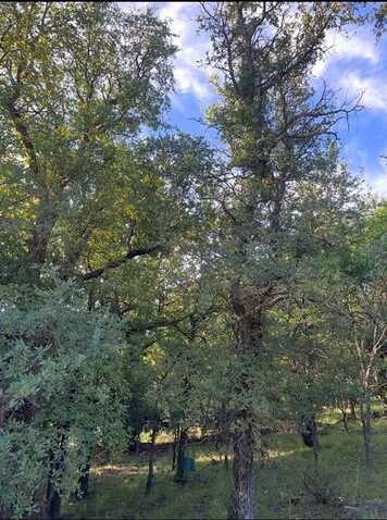 Lot 707 S Lakes Drive, May, TX 76857