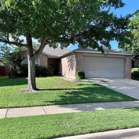 1547 Thornhill Lane, Little Elm, TX 75068