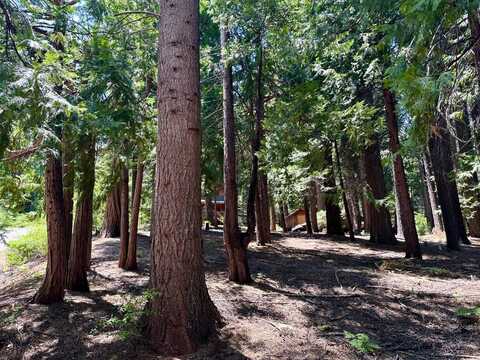 2913 Zuni Drive, Arnold, CA 95223