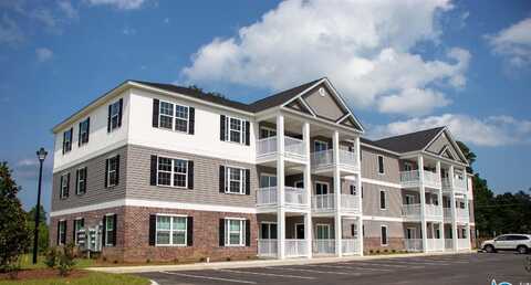 541 Black Swamp Ct., Conway, SC 29526