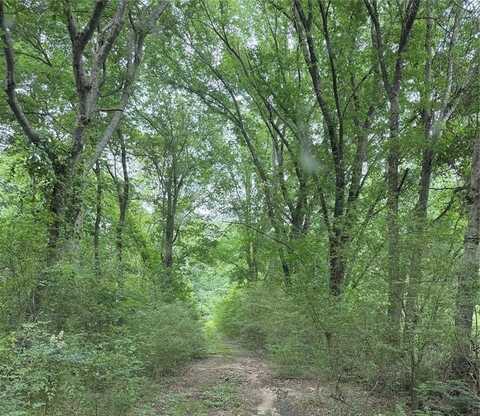 32 Acres County Road 2324, Como, TX 75431