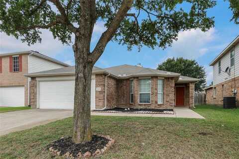 124 Bonsai Drive, Anna, TX 75409