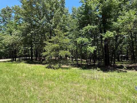 Tbd PR 5861 (LOT 2), Yantis, TX 75497
