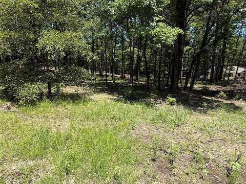 Tbd PR 5861 (LOT 3), Yantis, TX 75497