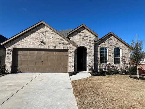 317 Tartane Drive, Anna, TX 75409