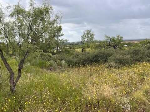 Tbd2 County Road 405, Merkel, TX 79536