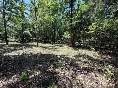 Tbd PR 5861 (LOT 7), Yantis, TX 75497
