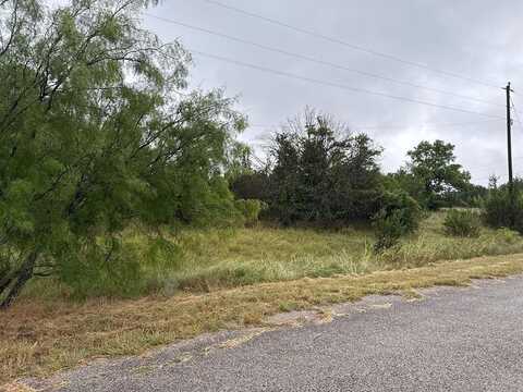 215 Pinnacle Court, Bluff Dale, TX 76433