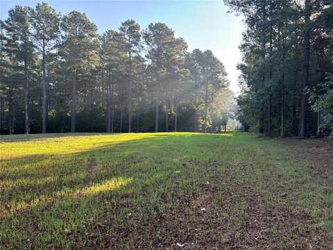 00 Old Plain Dealing Road, Benton, LA 71006