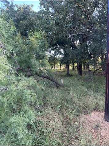 Lot 961 S Lakes Drive, May, TX 76857